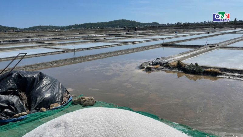 Thanh &acirc;m ở đồng muối Sa Huỳnh