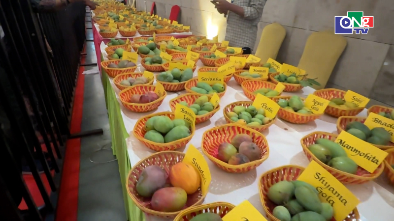  Thi&ecirc;n đường xo&agrave;i giữa l&ograve;ng New Delhi