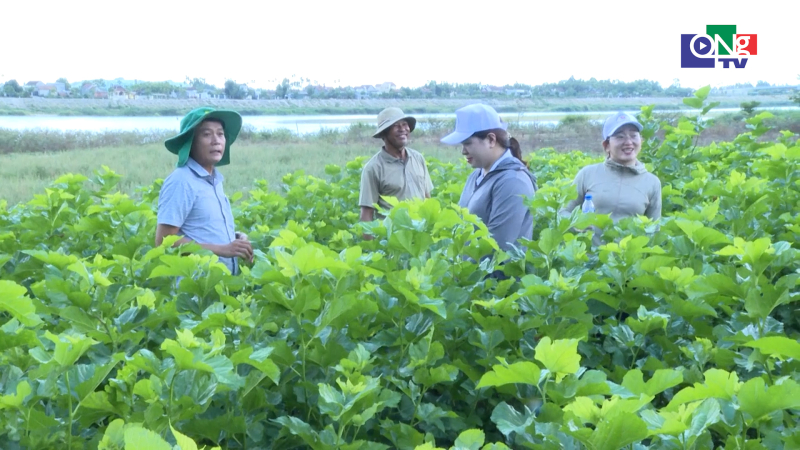 Quảng Ng&atilde;i ng&agrave;y mới 04/7