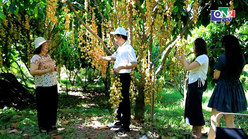 Quảng Ng&atilde;i ng&agrave;y mới 07/7