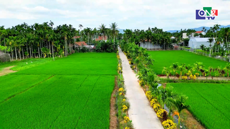 Quảng Ng&atilde;i ng&agrave;y mới 15/7