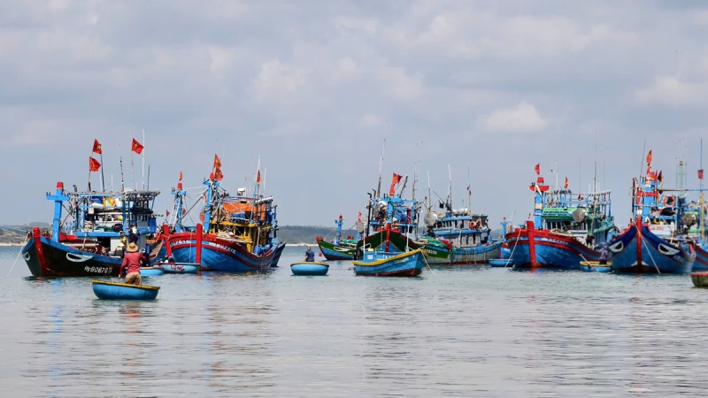 Quảng Ng&atilde;i ho&agrave;n th&agrave;nh 18/20 nhiệm vụ được giao 