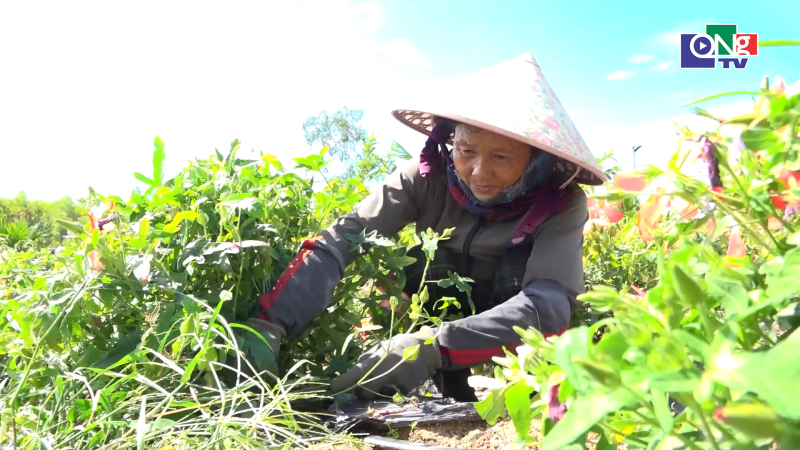 Quảng Ng&atilde;i ng&agrave;y mới 18/7