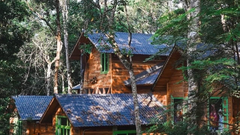 Măng Đen Treehouse Quảng Ng&atilde;i được đề cử "L&agrave;ng du lịch tốt nhất thế giới"
