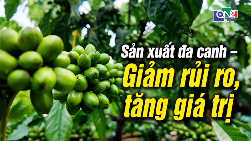 Sản xuất đa canh &ndash; Giảm rủi ro, tăng gi&aacute; trị