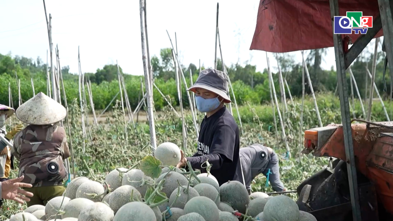 Quảng Ng&atilde;i ng&agrave;y mới 27/7