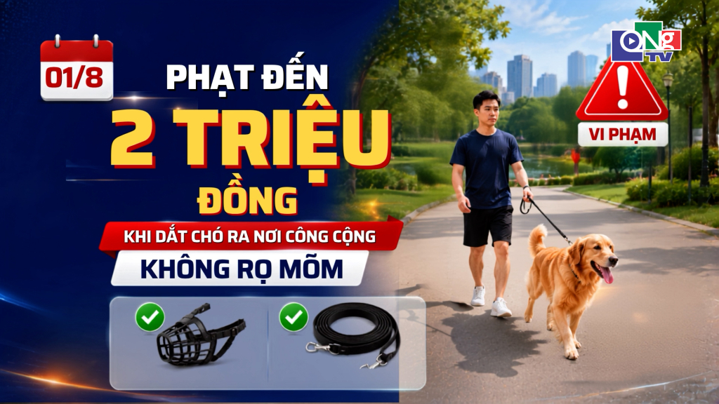 Ảnh AI