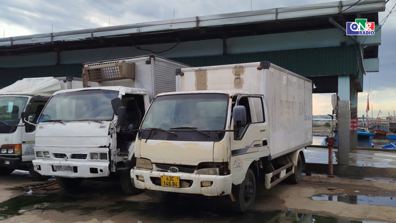 Nỗi lo &ocirc; nhiễm bủa v&acirc;y Cảng c&aacute; Tịnh Kỳ