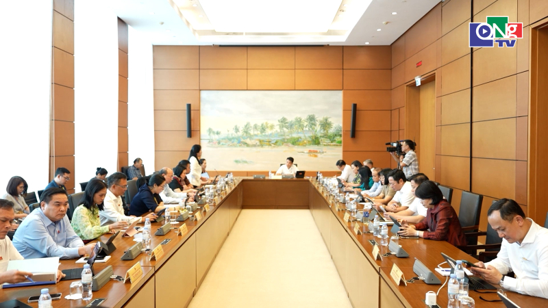 Đại biểu Quốc hội tỉnh g&oacute;p &yacute; ho&agrave;n thiện c&aacute;c dự &aacute;n Luật