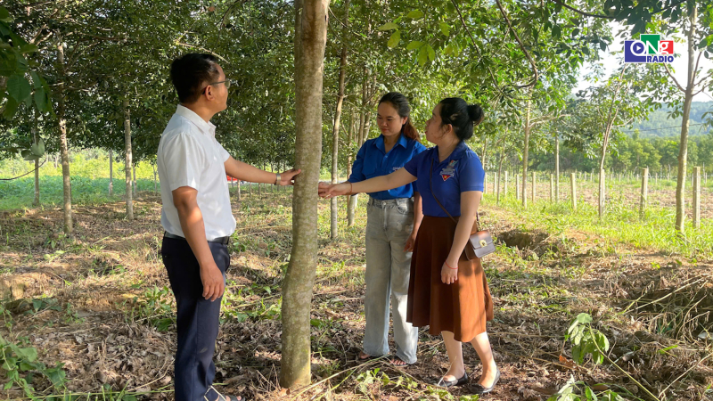Đồng h&agrave;nh c&ugrave;ng thanh ni&ecirc;n d&acirc;n tộc thiểu số ph&aacute;t triển kinh tế