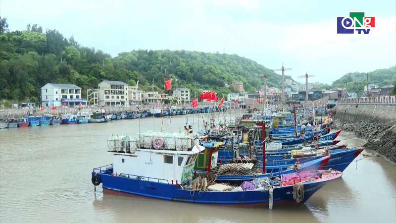 Thế giới trưa 07/8