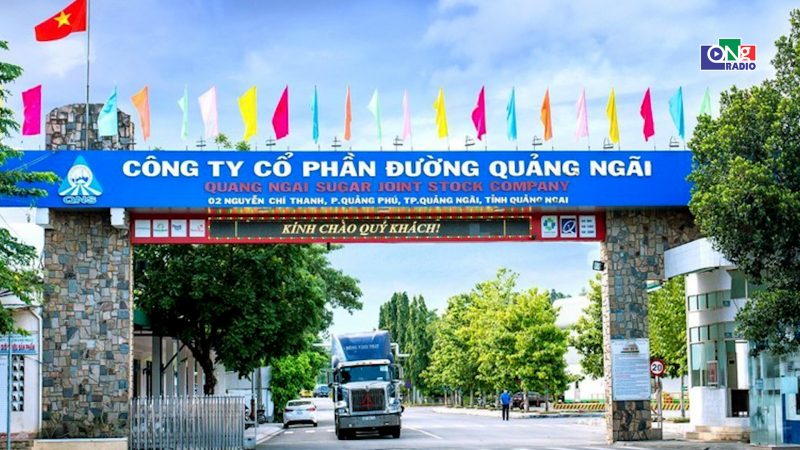 Bản tin kinh tế - t&agrave;i ch&iacute;nh 11/8/2026