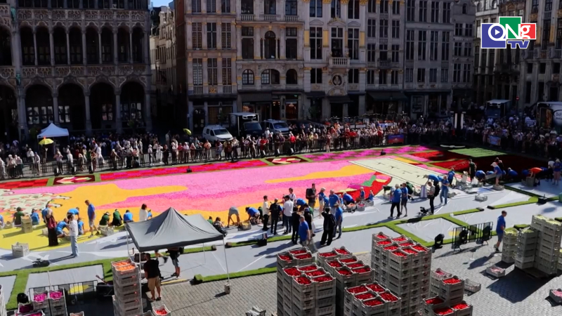 750.000 b&ocirc;ng thược dược t&aacute;i hiện kiệt t&aacute;c Hokusai tại Brussels