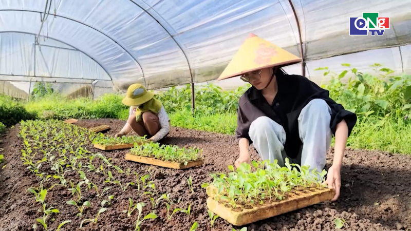 Người d&acirc;n chuyển sang sản xuất xanh