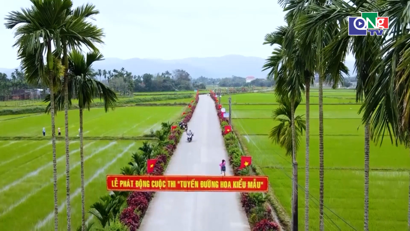 Quảng Ng&atilde;i ng&agrave;y mới 19/8