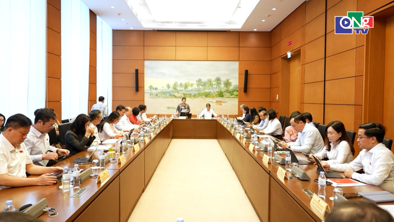 Đại biểu Quốc hội tỉnh g&oacute;p &yacute; c&aacute;c dự &aacute;n luật đất đai, nh&agrave; ở v&agrave; bất động sản