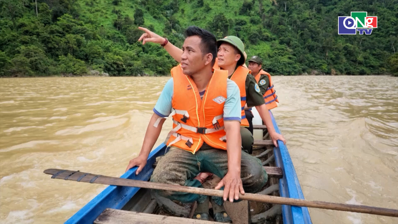 Giữ rừng từ gốc 