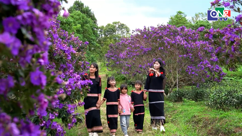 Quảng Ng&atilde;i ng&agrave;y mới 23/8