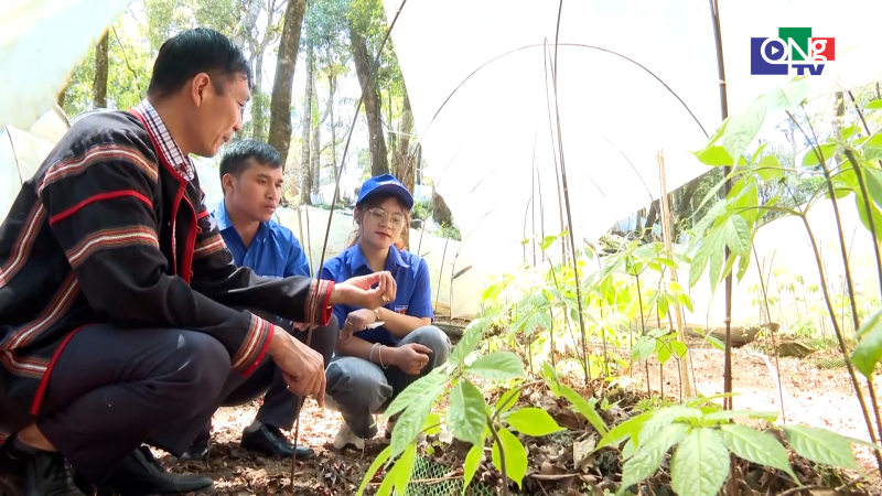 N&acirc;ng tầm gi&aacute; trị n&ocirc;ng sản Quảng Ng&atilde;i