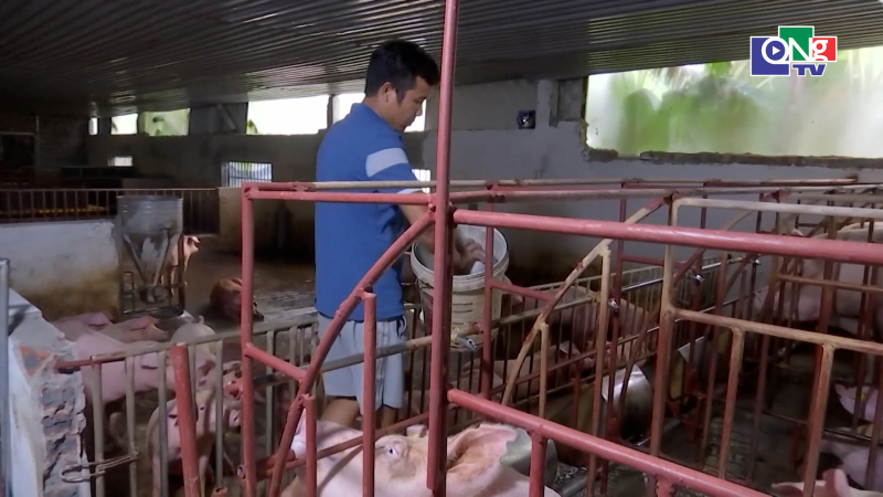 Giảm ph&aacute;t thải kh&iacute; m&ecirc;-tan từ chăn nu&ocirc;i tuần ho&agrave;n