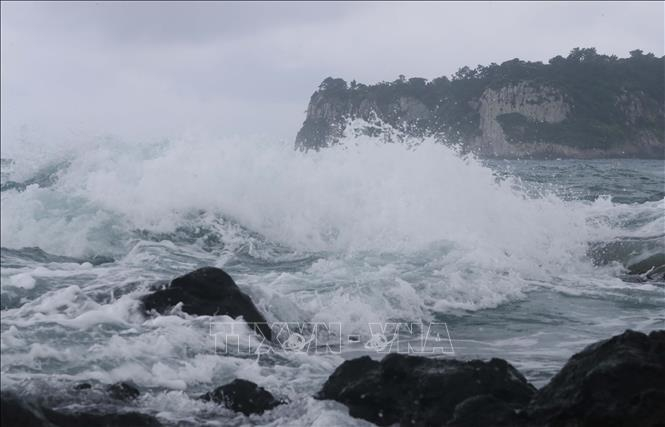 Sóng lớn xô vào bờ biển ở đảo Jeju, Hàn Quốc, trước khi bão đổ bộ. Ảnh tư liệu - minh họa: Yonhap/TTXVN