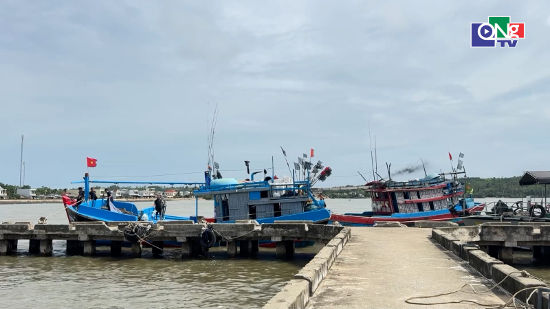 Quảng Ng&atilde;i c&ograve;n hơn 400 t&agrave;u c&aacute; tr&ecirc;n biển