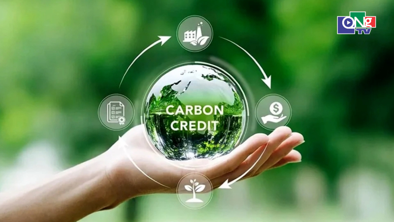 Thị trường carbon trong nước kh&ocirc;ng quy định bi&ecirc;n độ gi&aacute;