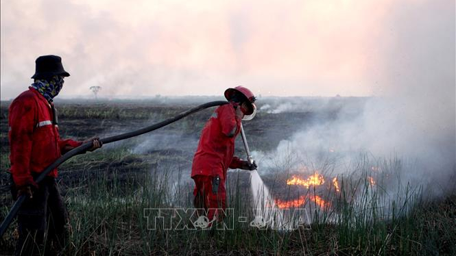 Indonesia siết xử l&yacute; vi phạm ph&ograve;ng, chống ch&aacute;y rừng
