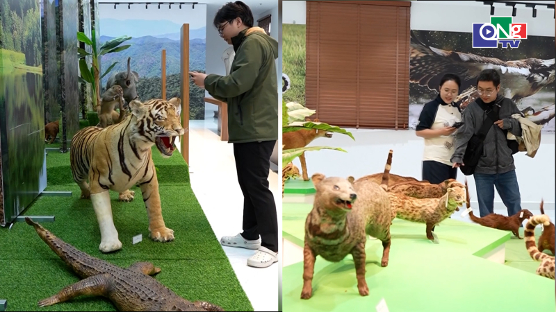 Bảo t&agrave;ng Sinh học T&acirc;y Nguy&ecirc;n mở cửa trở lại