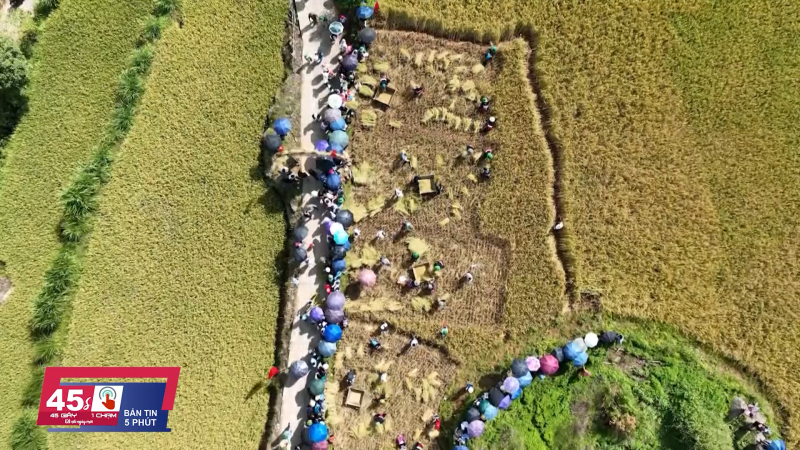 45 gi&acirc;y 1 chạm ng&agrave;y 07/9