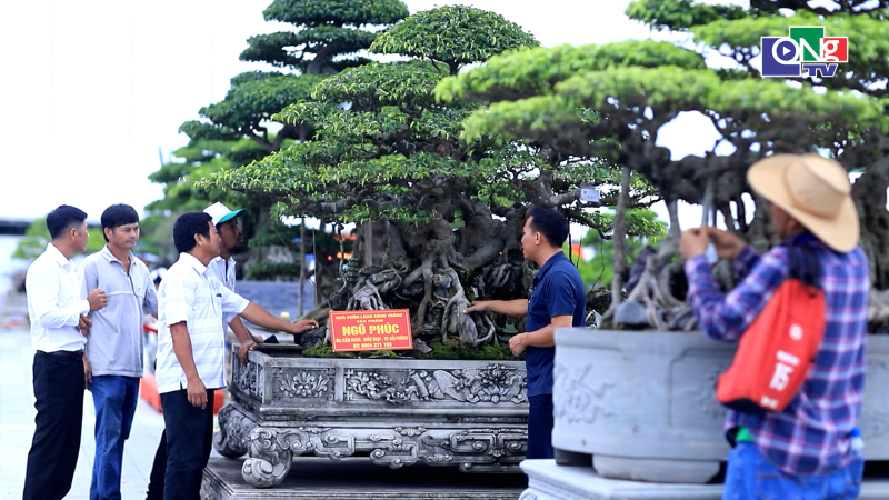 Quảng Ng&atilde;i ng&agrave;y mới 08/9
