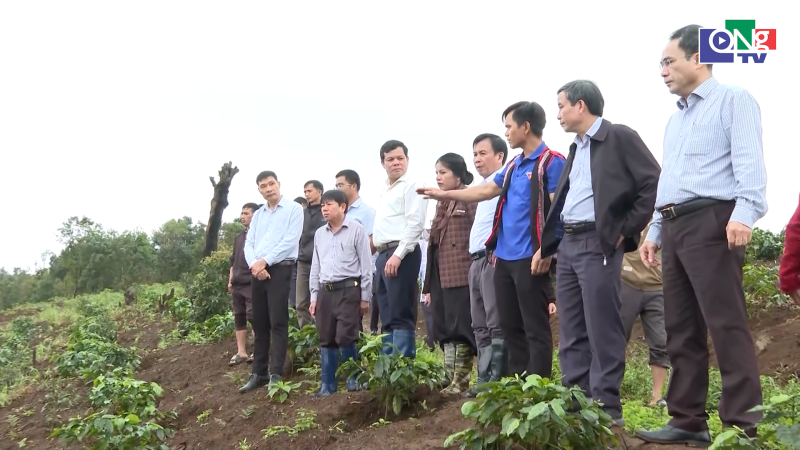 Ph&oacute; B&iacute; thư Tỉnh ủy Nguyễn Đức Tuy khảo s&aacute;t m&ocirc; h&igrave;nh sản xuất tại x&atilde; Măng Ri