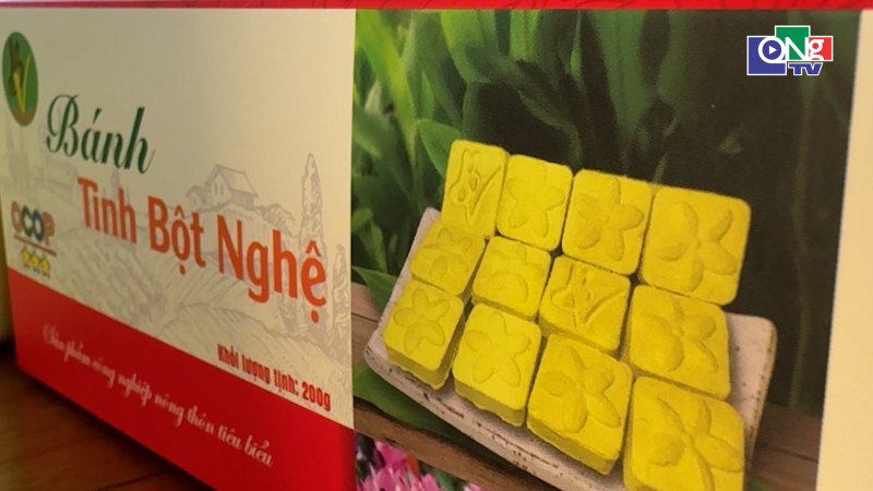 H&agrave;nh tr&igrave;nh đưa củ nghệ xứ Quảng đạt chuẩn OCOP 3 sao 