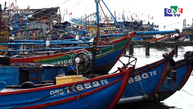 Nhiều t&agrave;u thuyền đ&atilde; v&agrave;o cảng tr&aacute;nh tr&uacute; 