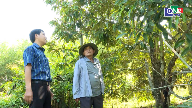 Quảng Ng&atilde;i ng&agrave;y mới 15/9