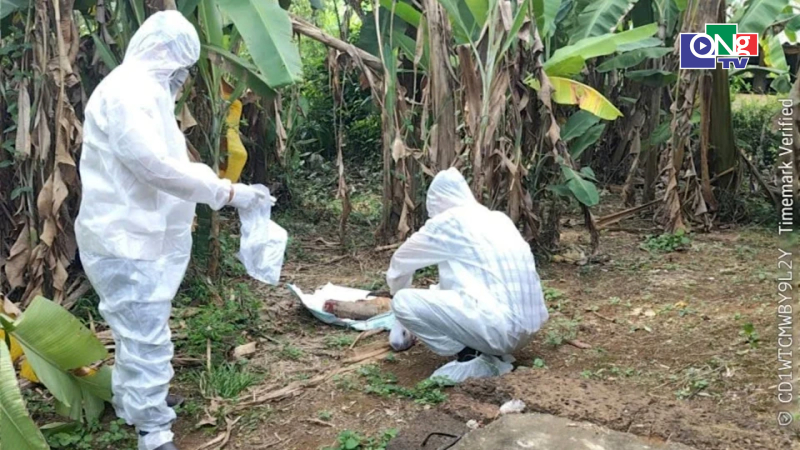Ch&oacute; nghi mắc bệnh dại cắn người h&agrave;ng loạt