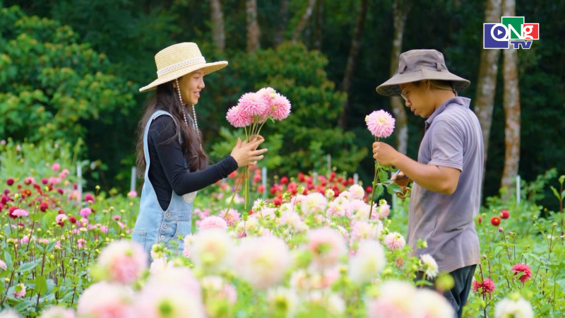Nghị quyết 19 &ndash; Từ chủ trương đến những thay đổi ở cơ sở