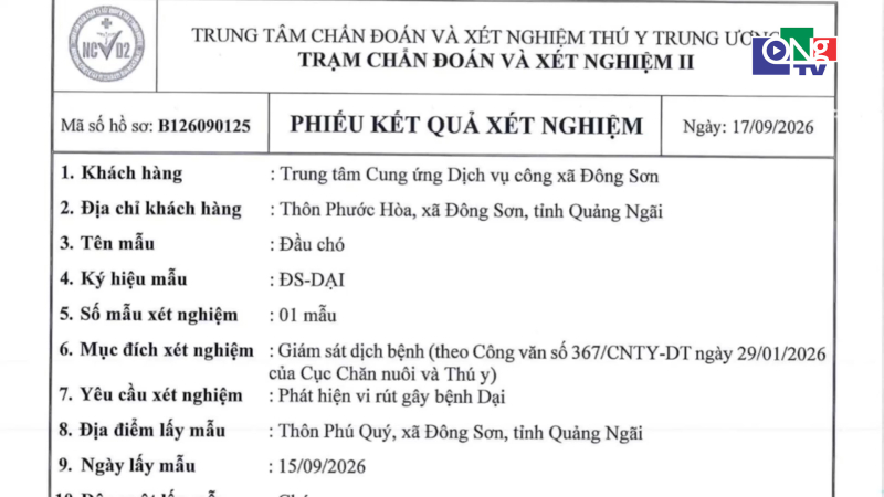 Ch&oacute; cắn người ở x&atilde; Đ&ocirc;ng Sơn dương t&iacute;nh với bệnh dại