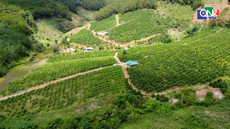 Th&aacute;o gỡ kh&oacute; khăn, n&acirc;ng hiệu quả hợp t&aacute;c x&atilde;