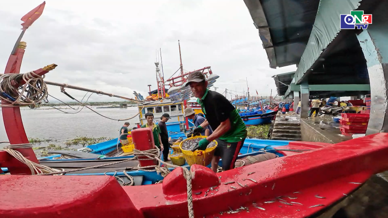 Bảo đảm an to&agrave;n cảng c&aacute;, khu neo đậu t&agrave;u thuyền