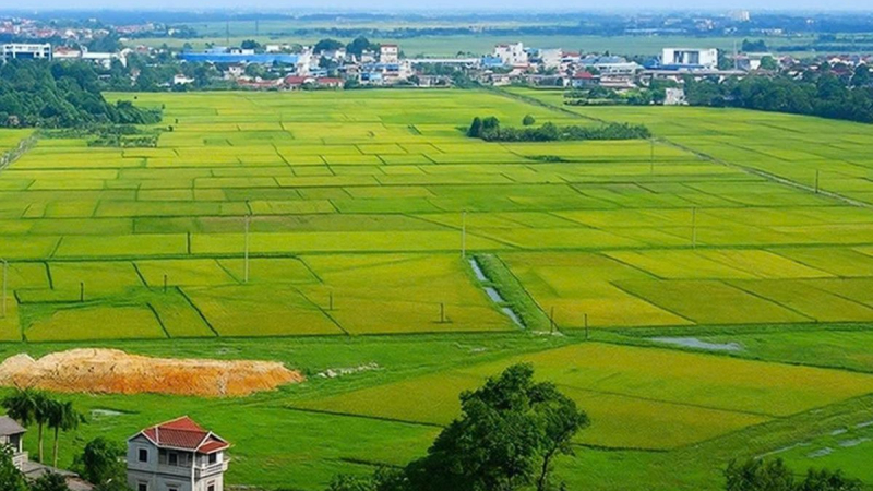Hơn 36,7 triệu thửa đất chưa ho&agrave;n th&agrave;nh dữ liệu 