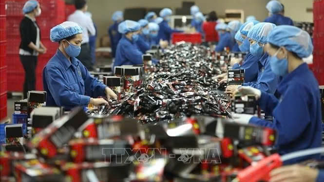 Kh&ocirc;ng trả tiền ph&eacute;p năm chưa nghỉ, doanh nghiệp bị phạt đến 100 triệu đồng