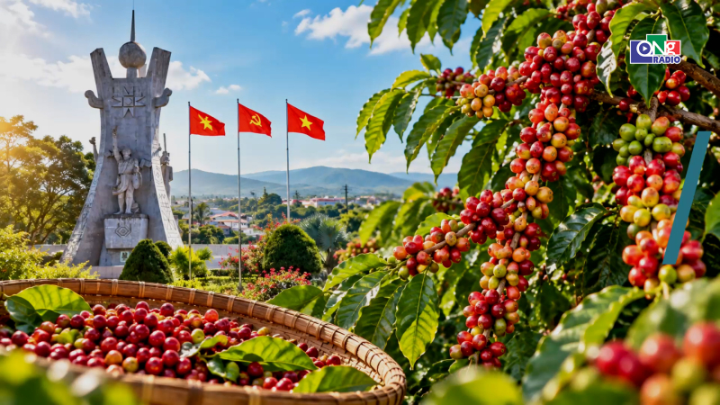 Hương vị c&agrave; ph&ecirc; Đăk H&agrave;