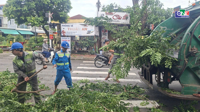 Cắt tỉa c&acirc;y xanh, bảo đảm an to&agrave;n trong m&ugrave;a mưa b&atilde;o