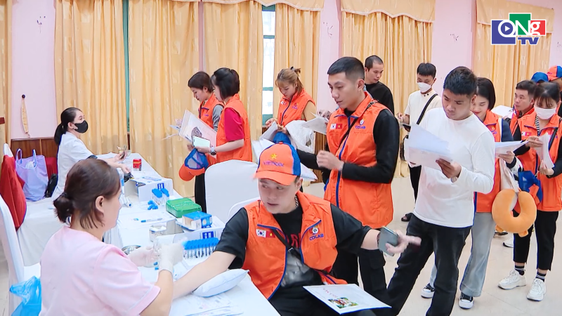 Người Việt đi l&agrave;m việc ở nước ngo&agrave;i ng&agrave;y c&agrave;ng trẻ