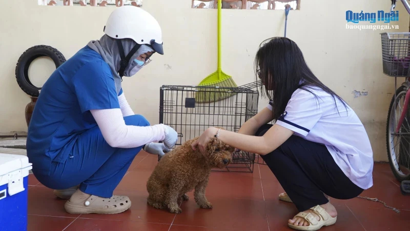 Triển khai tiêm vắc xin cho chó, mèo tại tổ dân phố 4, phường Kon Tum.  