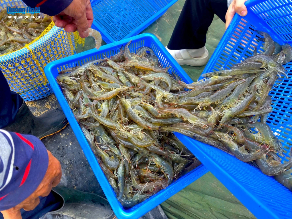 143483,143478,size,thuong,pham,2,16495712,16550112,12275714.jpg