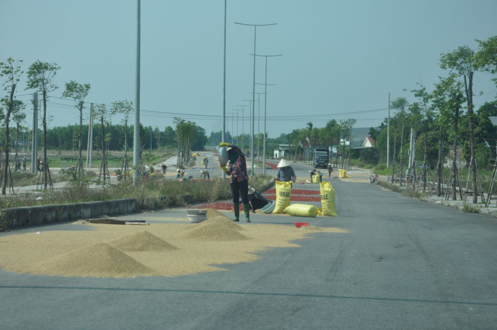 Người dân phơi nông sản trên một tuyến đường ở tỉnh Quảng Ngãi.