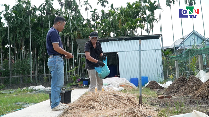 Kỹ thuật l&agrave;m ph&acirc;n compost để trồng rau an to&agrave;n