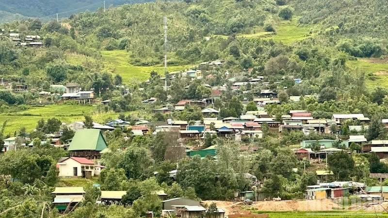 Măng Ri ph&aacute;t triển v&ugrave;ng chuy&ecirc;n canh s&acirc;m Ngọc Linh v&agrave; c&agrave; ph&ecirc; xứ lạnh 